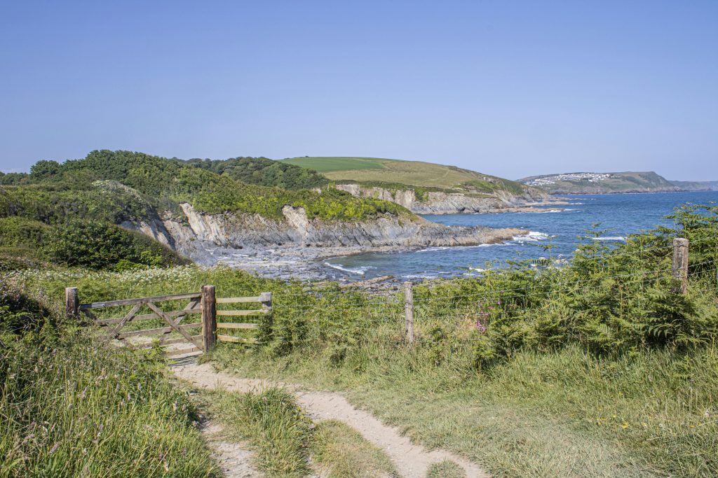 Open path to the sea