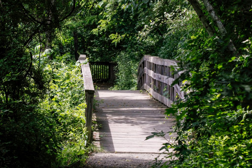 walking path
